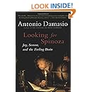 Looking for Spinoza: Joy, Sorrow, and the Feeling Brain