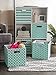 DII Polyester Cube Storage Collection Collapsible Hard Sided Bin, 13x13x13, Aqua