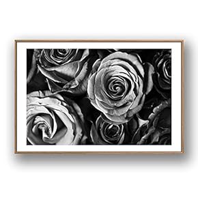 Framed Canvas Wall Art for Living Room, Bedroom Grey Rose Flowers Canvas Prints for Modern Home Decoration Ready to Hang - 16"x24" inches
