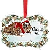 Red American Toad Christmas Ornament 2024