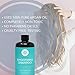 Moroccan Argan Oil Shampoo, 8 Fl Oz - Smooths and Repairs - Sulfate Free - Natural - Imported from Morocco by Pure Body Naturals