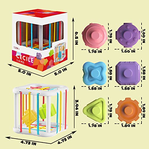 Montessori Toys Sensory Baby Toys Colorful Cube and 6 Pcs Multi Sensory