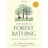 Your Guide to Forest Bathing: Experience the Healing Power of Nature