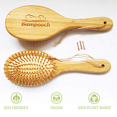 Top 10 Best Brushes For Havanese Available in 2019 Pet Struggles