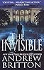 The American A Ryan Kealey Thriller Book 1 Kindle