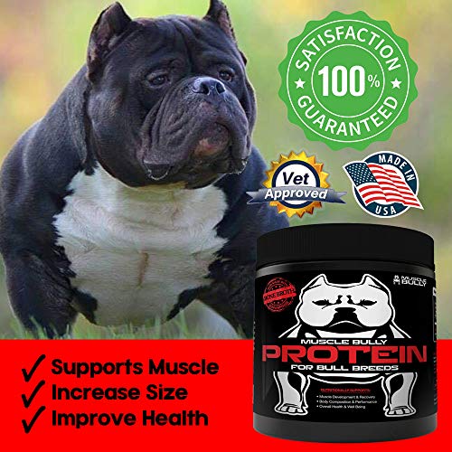 Muscle Bully Protein Supplement for Dogs Supports Muscle Growth