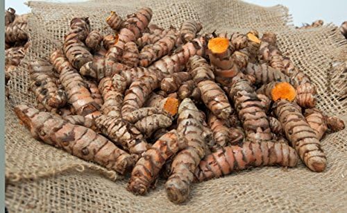 (10 LB) Turmeric Root (Curcumin) - Whole Raw Organic Root - Grown By Bhanu Indian Grocery in California | Free Shipping USA| (10 LB)
