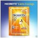 Nicorette Gum, Fruit Chill Flavor, 2 mg, 200 Count
