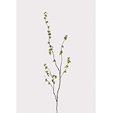 Afloral Artificial Branch with Green Buds - 40"