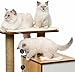 Catit Vesper Cat Tree, Base, Walnut, 52042