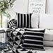 Home Brilliant Classic Black White Stripes Lace Throw Pillow Covers Decorative Euro Shams, 2 Packs, 24x24 inches(60cm), Black