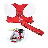 Baby Safety walking Harness-Child Toddler Walking Anti-lost Belt Harness Reins with Leash Kids Assistant Strap Angel Wings Travel Backpack (Red)