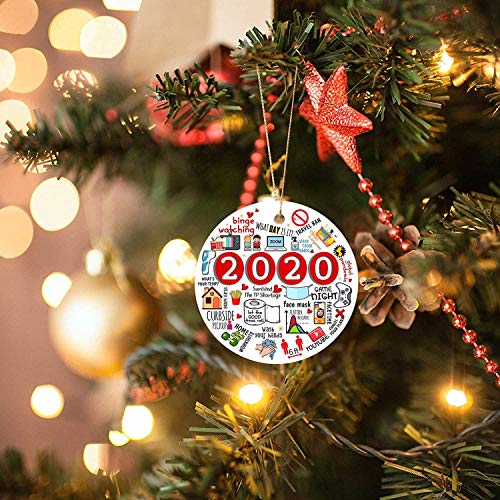 2020 Ornament Year of Quarantine Ornament Funny Ornament Pandemic Christmas Ornament Commemorative Ornament