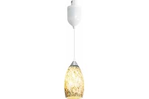 Kiven J-Type Track Lighting Pendants Adjustable Height,1-Light Farmhouse J Track Pendant Lights with Art Glass Lampsade,Decor