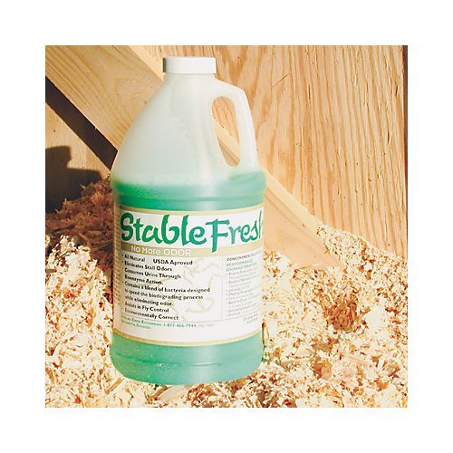 The 10 best stall freshener