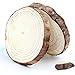 Natural Wood Slices 15 Pcs 3.5