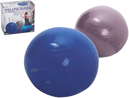 Gerimport Pelota Suiza Fitness Pilates 75cm (2 Surtidos, se sirven ...