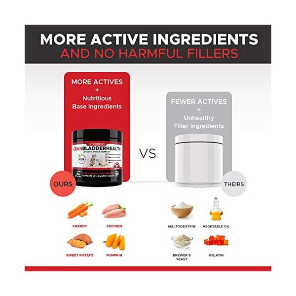 PetHonesty Cranberry for Dogs - Bladder Support - Dog UTI Treatment