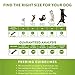 WHIMZEES Natural Daily Dental Long Lasting Dog Treats One Month Supply, Brushzees, Large, Box of 30