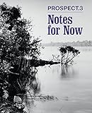 Prospect.3: Notes for Now