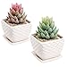MyGift White Wavy Coil Design Ceramic 4-Inch Decorative Flower Planter Pots with Attached Saucer, Set of 2