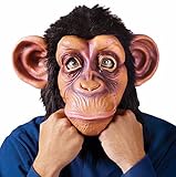 Comic Chimp in Lazy Song Costume Accessory