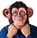 Comic Chimp in Lazy Song Costume Accessory