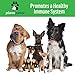 Probiotics for Dogs Digestive Health - Dog Probiotics and Digestive Enzymes - Allergy Relief for Dogs - Probiotic for Dogs Gut Health - Puppy Probiotic Tummy Treats - 120 Dog Probiotic Chews