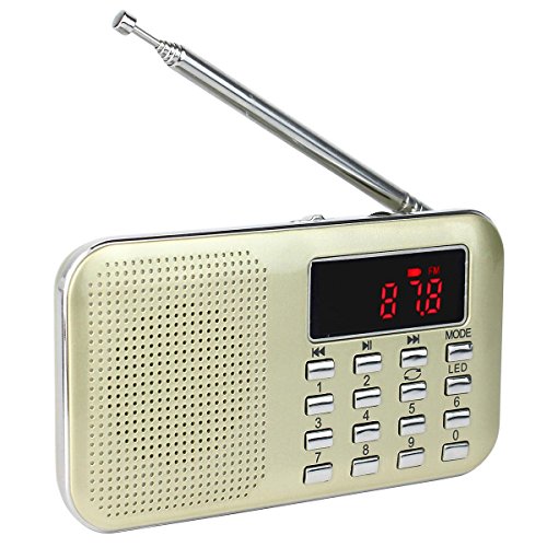 TIVDIO-L-218-Portable-AMFM-Transistor-Radio-with-Mp3-Music-Player-Speaker-Support-Micro-IF-Card-Gold