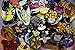 Disneyland World Trading pin lot 50 Booster Hidden Mickey Princess Donald More-by NANSY