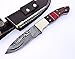 Poshland Handmade Damascus Steel Bushcraft Knife - Stunning Easy Grip Handle