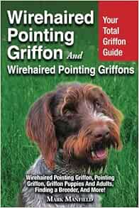 wirehaired pointing griffon puppies for sale 2017