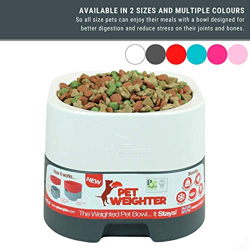 PET WEIGHTER Elevated Dog Bowls for Large Dogs and Cats, Heavy Dog Bowl