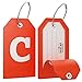 Shacke Initial Luggage Tag with Full Privacy Cover and Stainless Steel Loop – (Letter C)