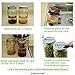 4 Sets: Stainless Steel Sprouting Lids + Storage Caps (4 Curved Sprouter Screens,4 Inserts,4 Bands,4 Seals) - For Wide Mouth Mason Canning Jars Kerr/Ball. Rust-Proof, BPA-free Seed Grower Sprouts Kit