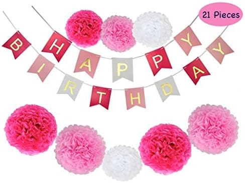 Parlie Birthday Party Decorations, Birthday Party Supplies, 21pcs Party Decors and Supplies, Set Includes Happy Birthday Banner and Pompoms