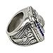 Decade Awards 2018 Silver Fantasy Football Champion Ring | Style B | Heavy FFL League Champ Ring with Stand