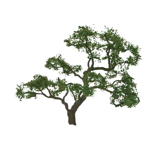 JTT Scenery Products Professional Series: Beech Tree, 2"