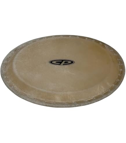 最終値下げ：LP コンガ CP Latin percussion conga Aspire 10