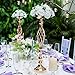 Versatile Metal Flower Arrangement, Candle Holder Stand Set for Wedding Party Dinner Centerpiece Event Restaurant Hotel Decoration (Twist Style, 10 x L)