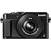 Panasonic LUMIX LX100 DMC-LX100K DMCLX100K Integrated Leica DC Lens Black Camera Bundle - Includes Camera, 32GB SD Card & Reader, Bag, 43mm Filter Kit, Battery, HDMI to Micro-HDMI Cable, Tripod & more