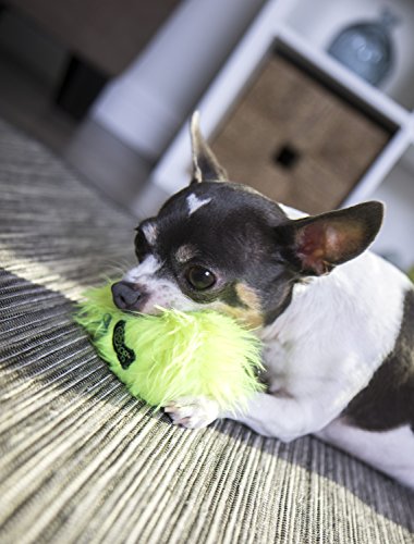 goDog Just For Me Furballz with Chew Guard Tough Plush Dog Toy, Lime, Small - Thumbnail 3