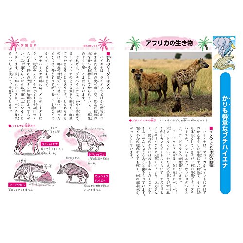 Mua ショウワノート 学習帳 ジャポニカ 国語 18マス B5 5冊パック Jl 10 2 5 Tren Amazon Nhật Chinh Hang Fado