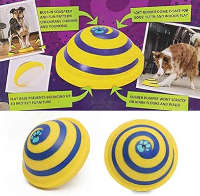 run fetch play woof frisbee