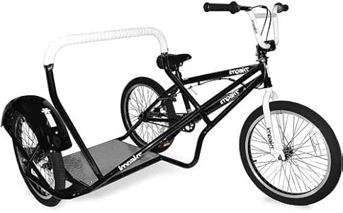 bmx bike with sidecar