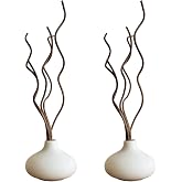 White Ceramic Vase, DIY Empty Reed Diffuser Bottle with Wavy Brown Rattan Sticks for Essential Oils, Set of 2, Aromatherapy, Modern Minimal Decor