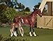 Breyer Classics Blood Bay Warmblood and Foal Set