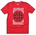 Adidas Big Boys Youth Climalite Court Precision Tee, Red