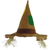 Pointed Scarecrow Raggedy Costume Hat w/Raffia Hair
