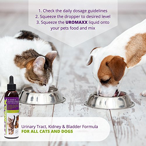 6 UroMAXX+Urinary+Kidney+Bladder+Formula